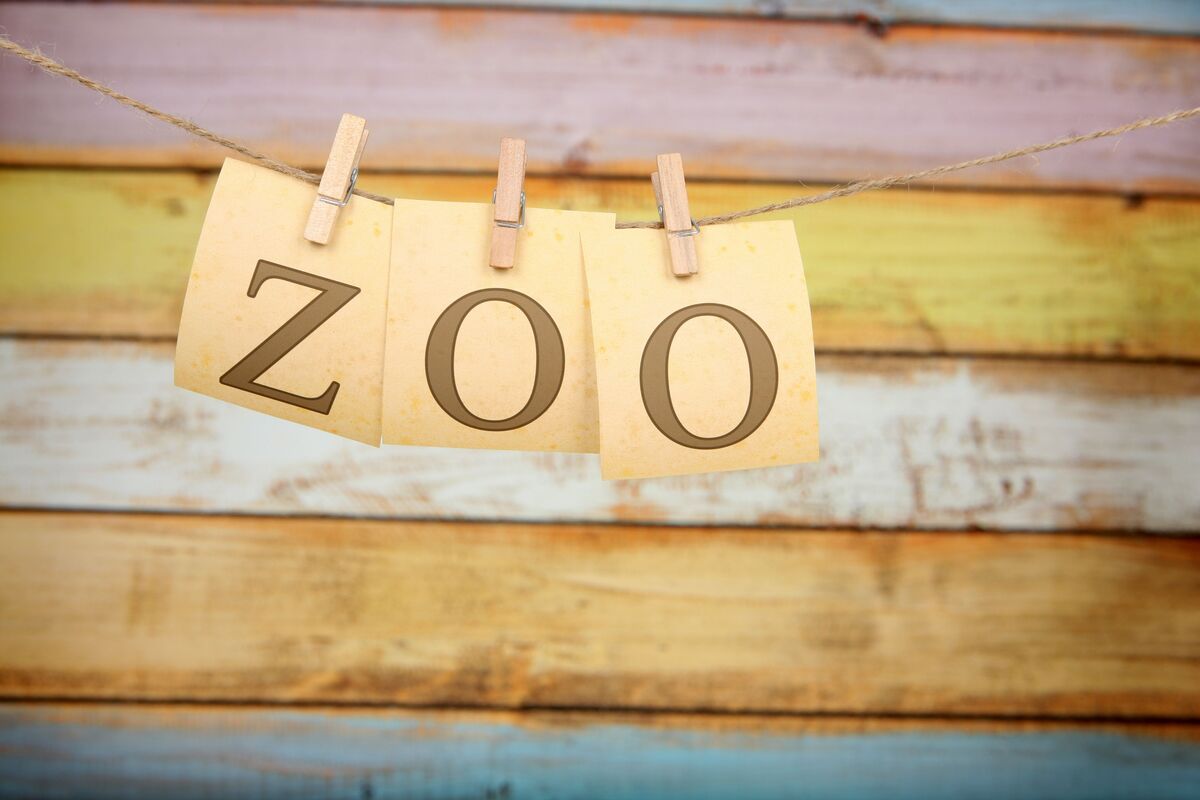 Zoo escrito em post-its.