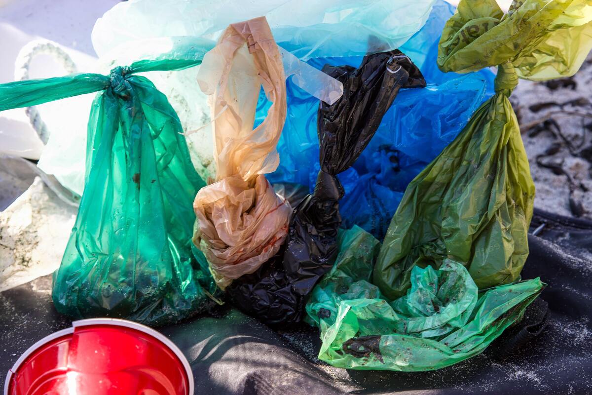 Diversos tipos de sacos plásticos. 