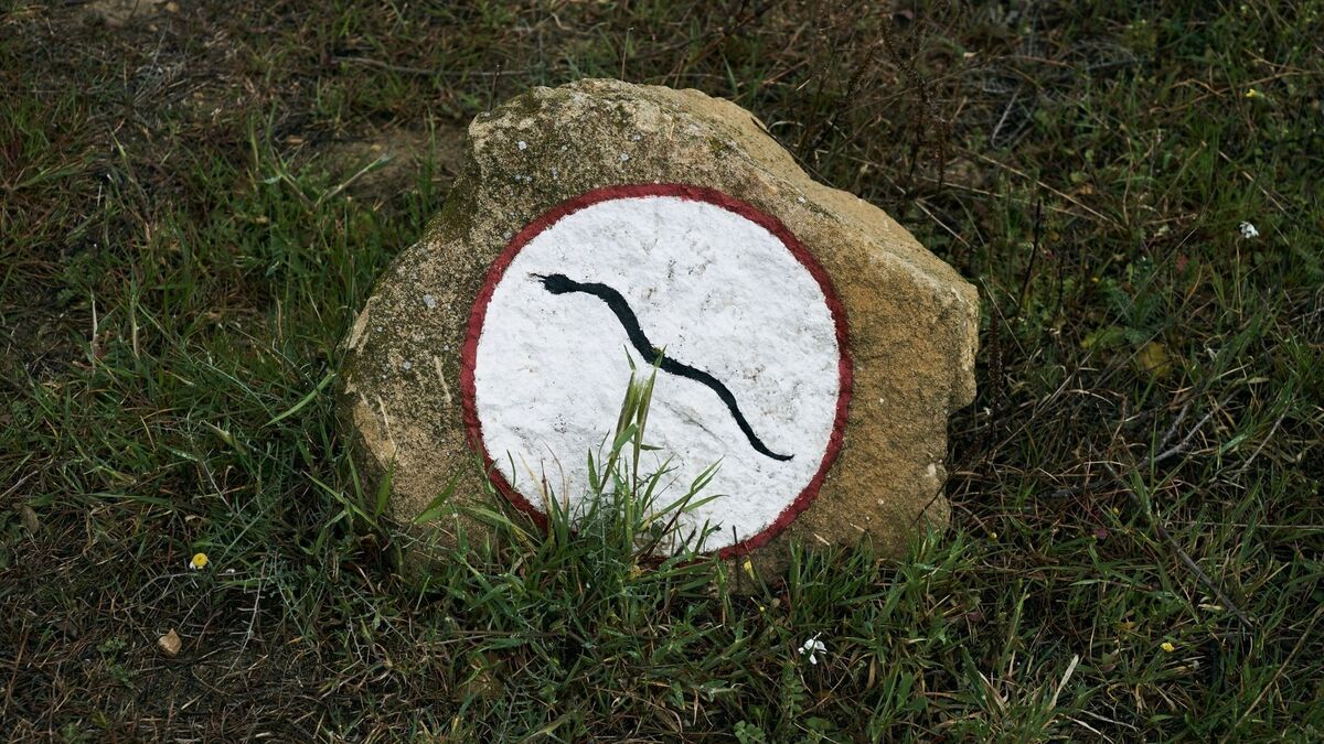 Cobra desenhada na pedra.