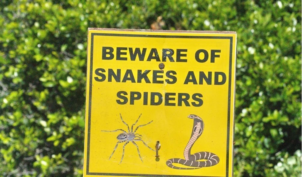 Imagem de placa avisando da presença de cobras e aranhas