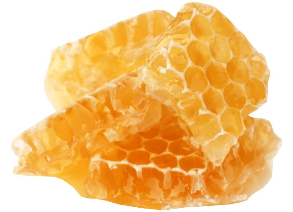 Capas cheias de mel
