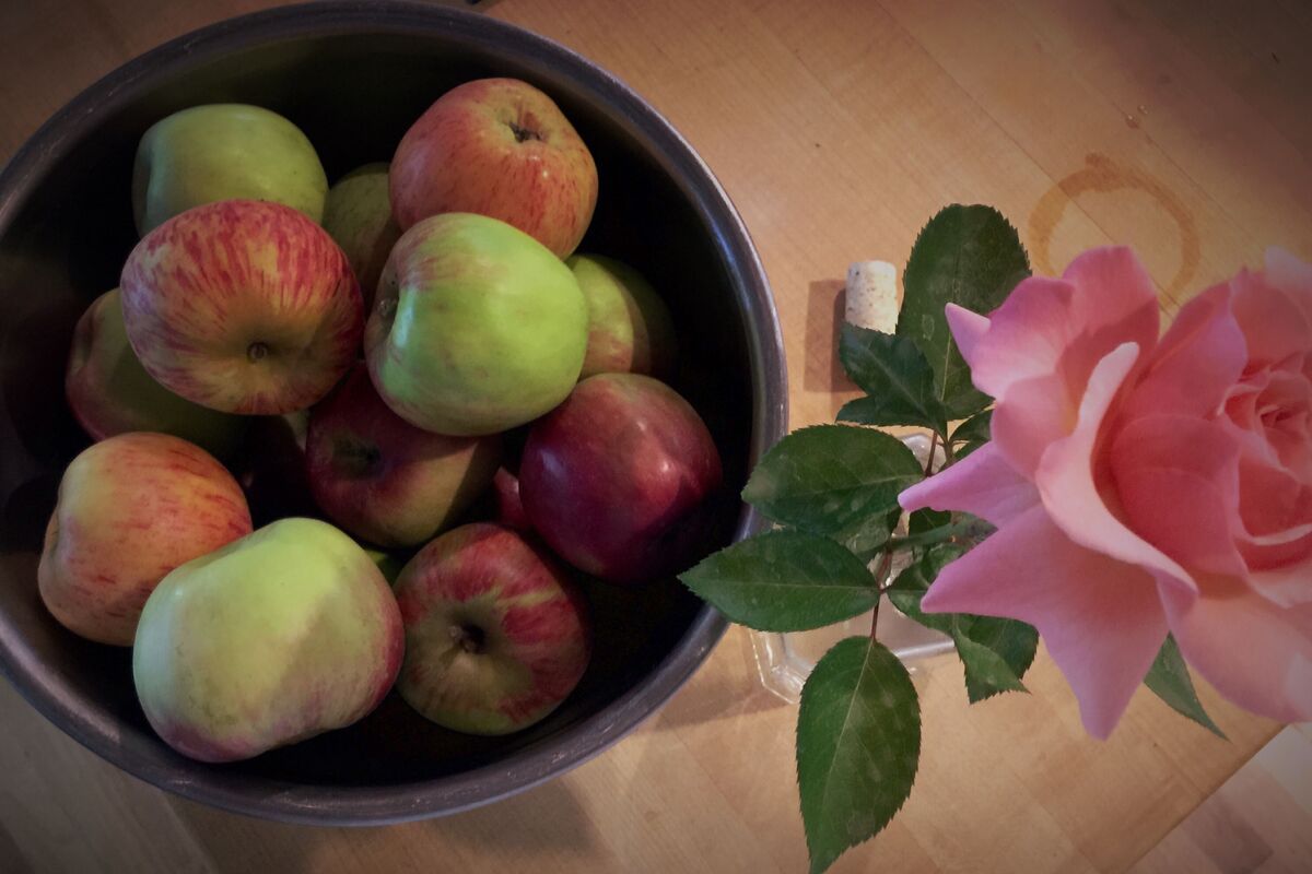 Tigela com maçãs e rosa.