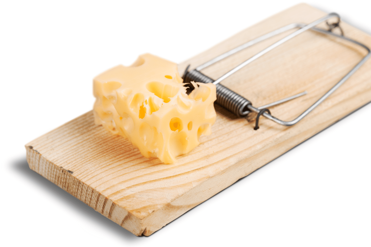 Ratoeira armada com queijo
