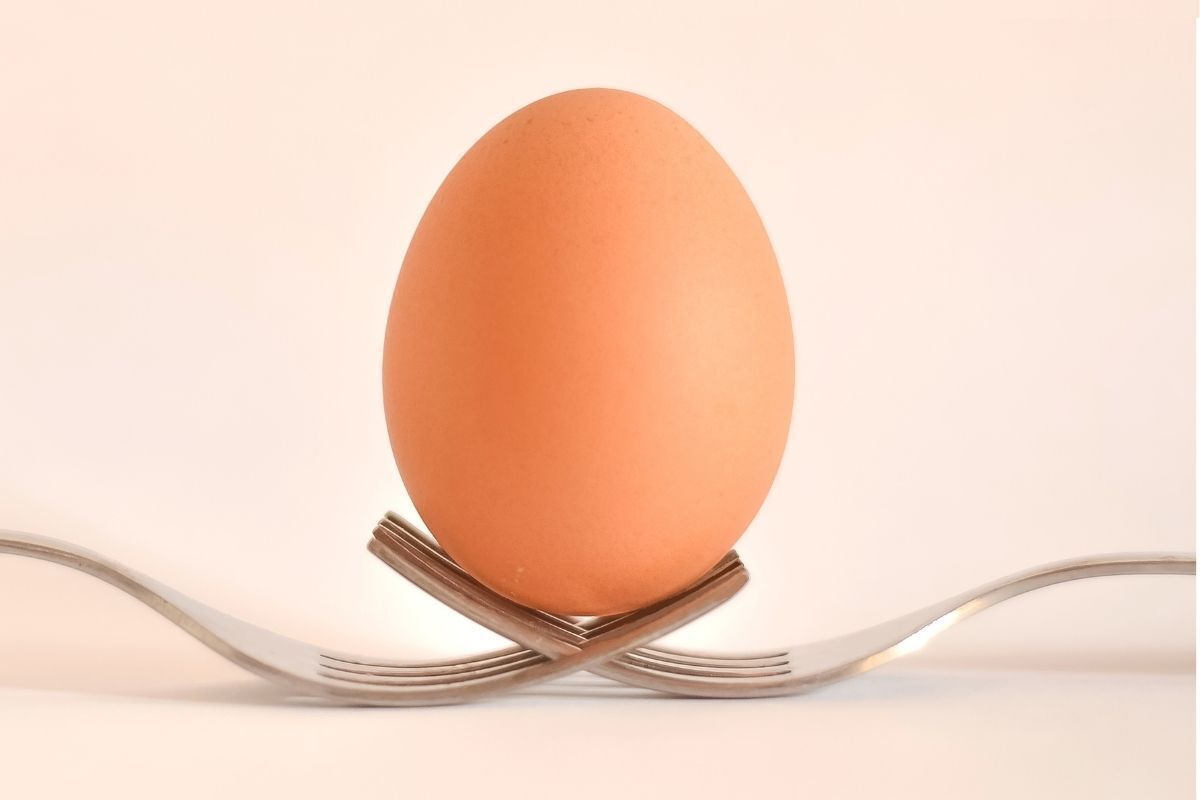 Imagem de um ovo de galinha em cima de dois garfos