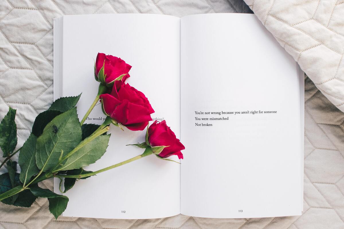 Rosas sobre um livro aberto.