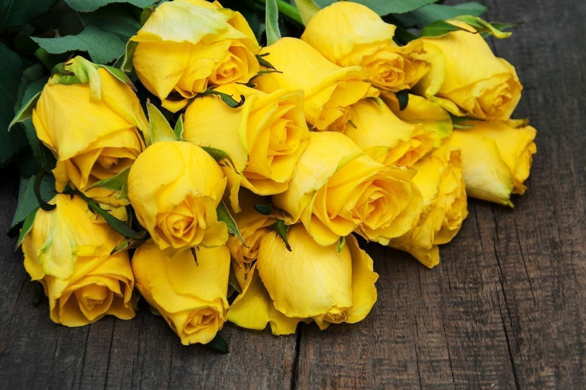 Flores Amarelas e seus significados, benefícios, utilidades e mais!