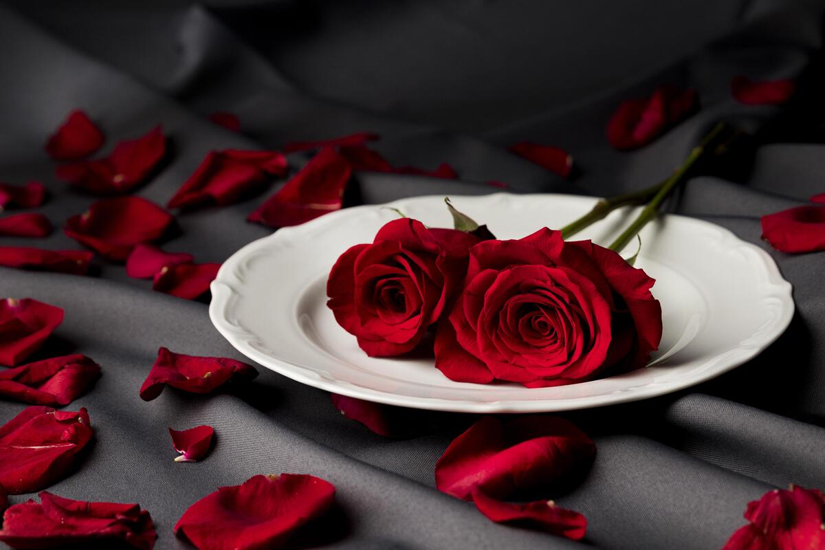 Prato branco com rosas de pétalas vermelhas, ingrediente que pode ser aproveitado no banho de hortelã.