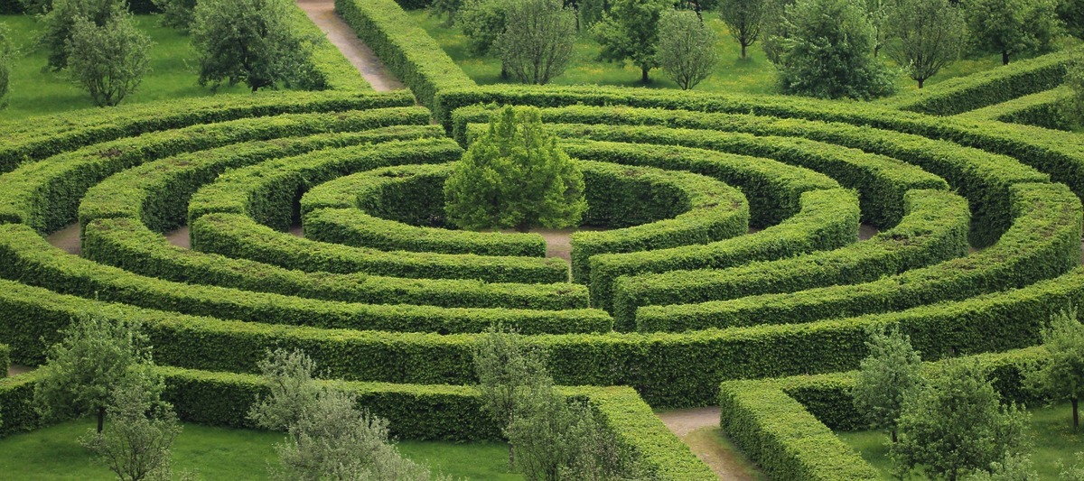 Labirinto de plantas.