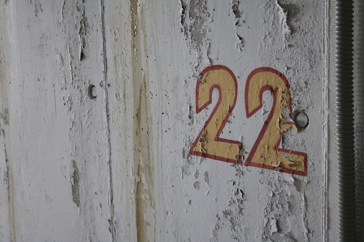 Número 22 pintado na madeira.