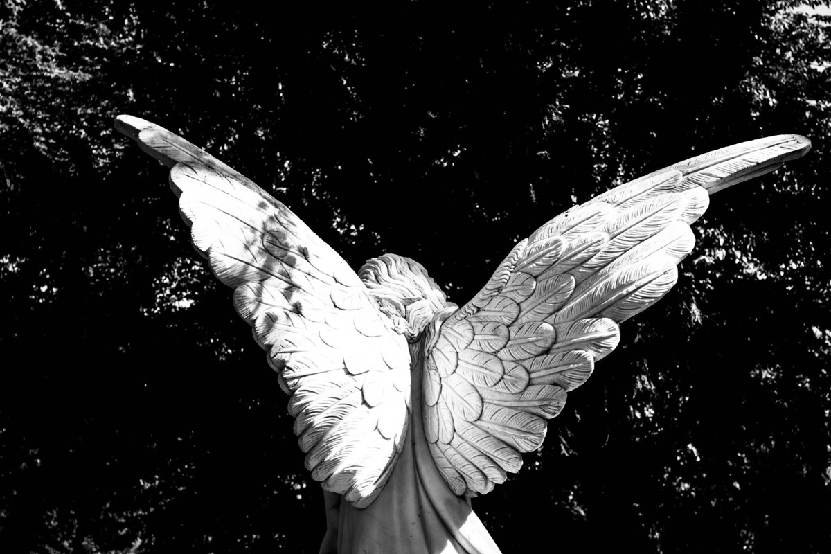 Estátua de anjo de costas, mostrando as grandes asas, representando o anjo de número 12.