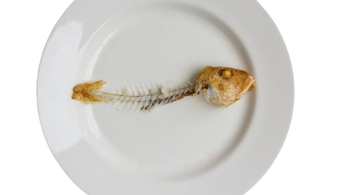 Espinha de peixe no prato.