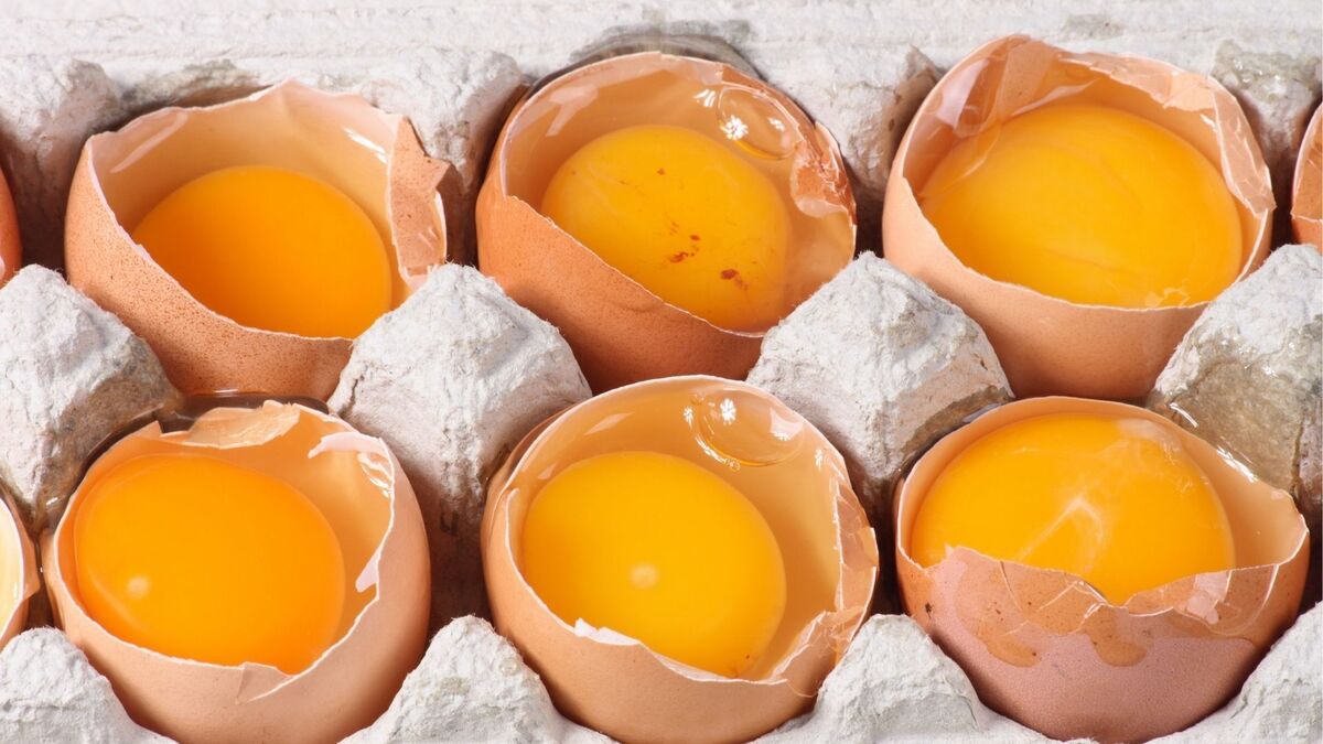Ovos crus em uma bandeja de papelão.