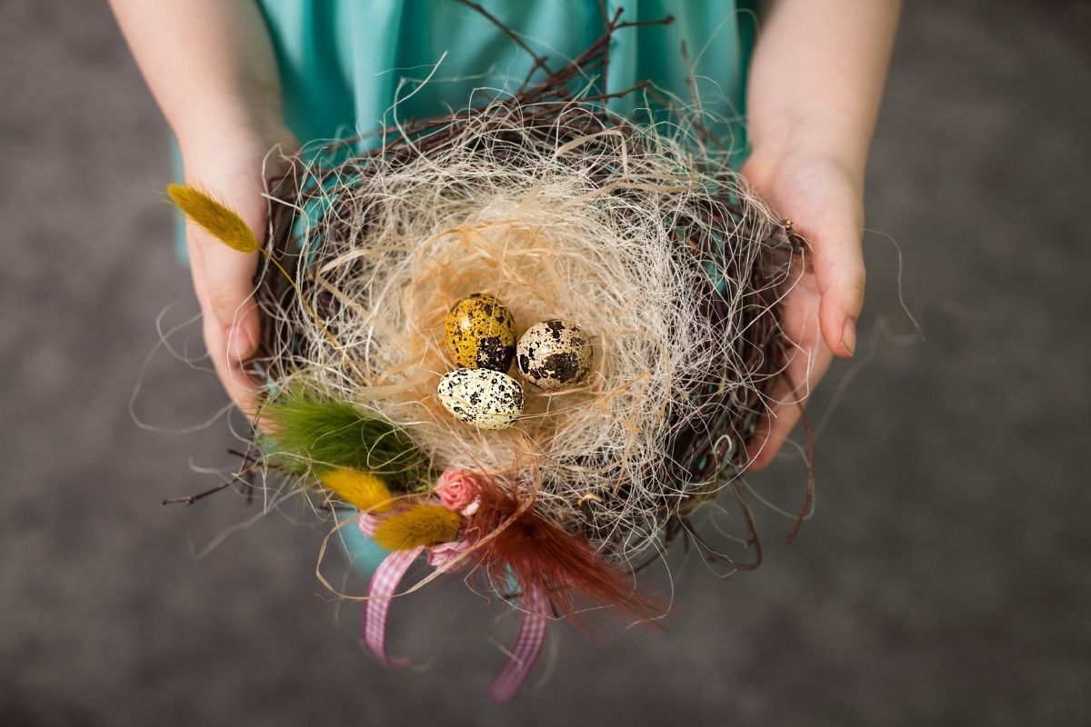 Uma pessoa está segurando um ninho de passarinho com ovos em suas mãos, mostrando para o fotógrafo.