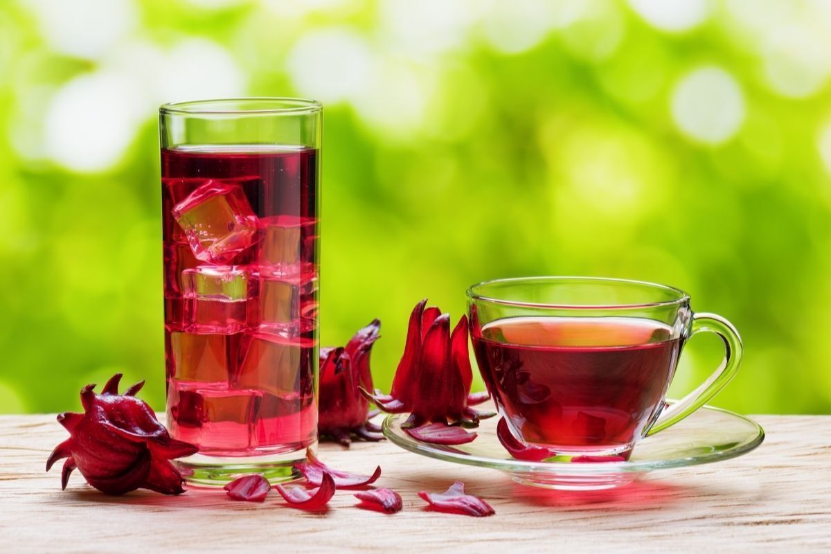 Chá de hibisco, vermelho, em um copo com gelo e uma xícara transparente com pétalas de flor vermelhas em volta