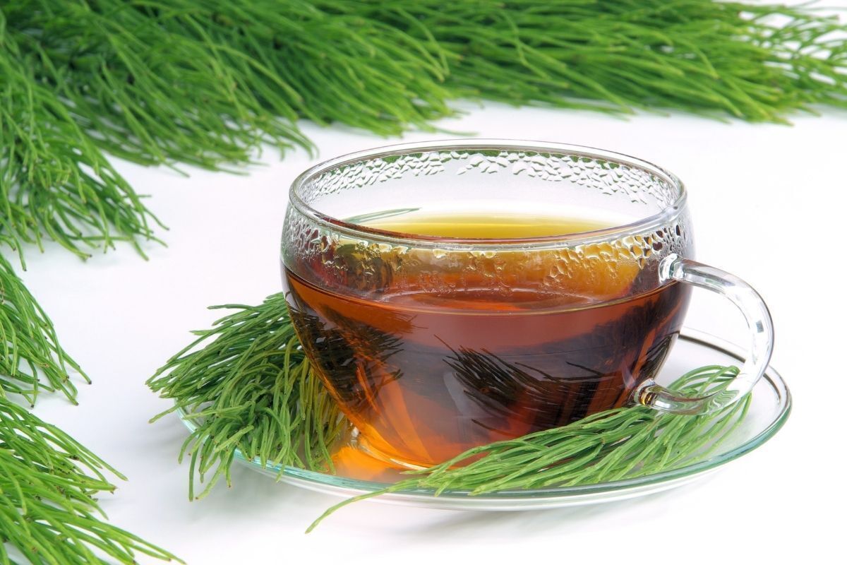 Chá diurético com cavalinha em uma xícara transparente, rodeada dessa erva.