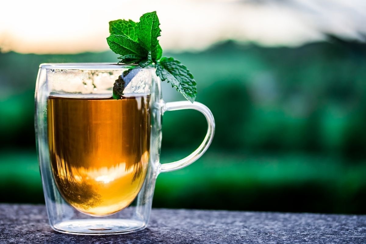 Chá diurético de boldo, em uma xícara alongada e transparente. 