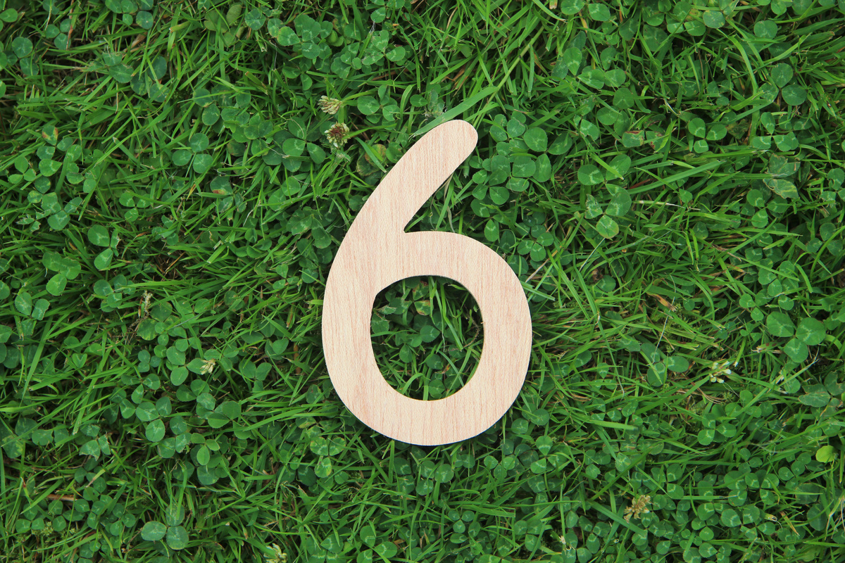 Número 6 na numerologia: significado, personalidade, no amor e mais!