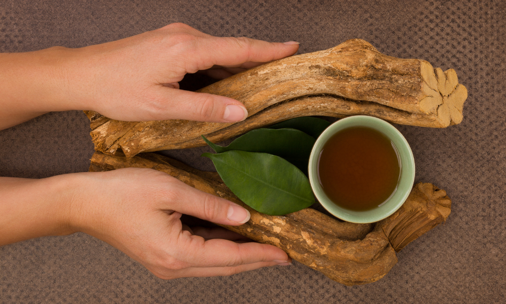 chá de ayahuasca
