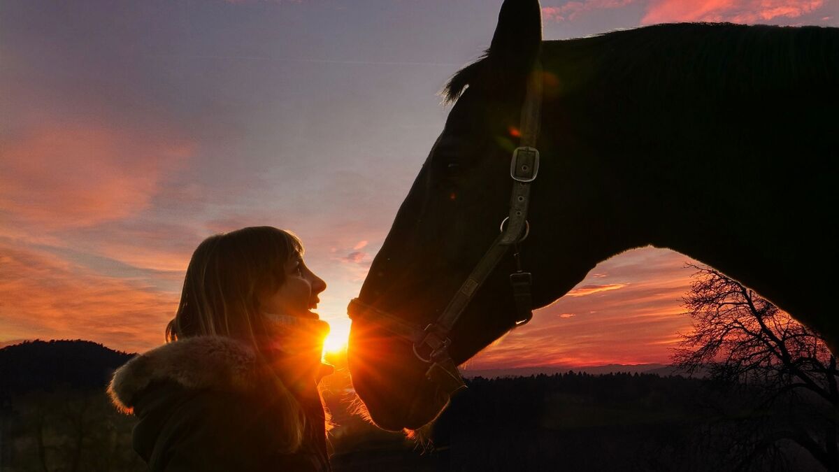 Mulher beijando um cavalo.