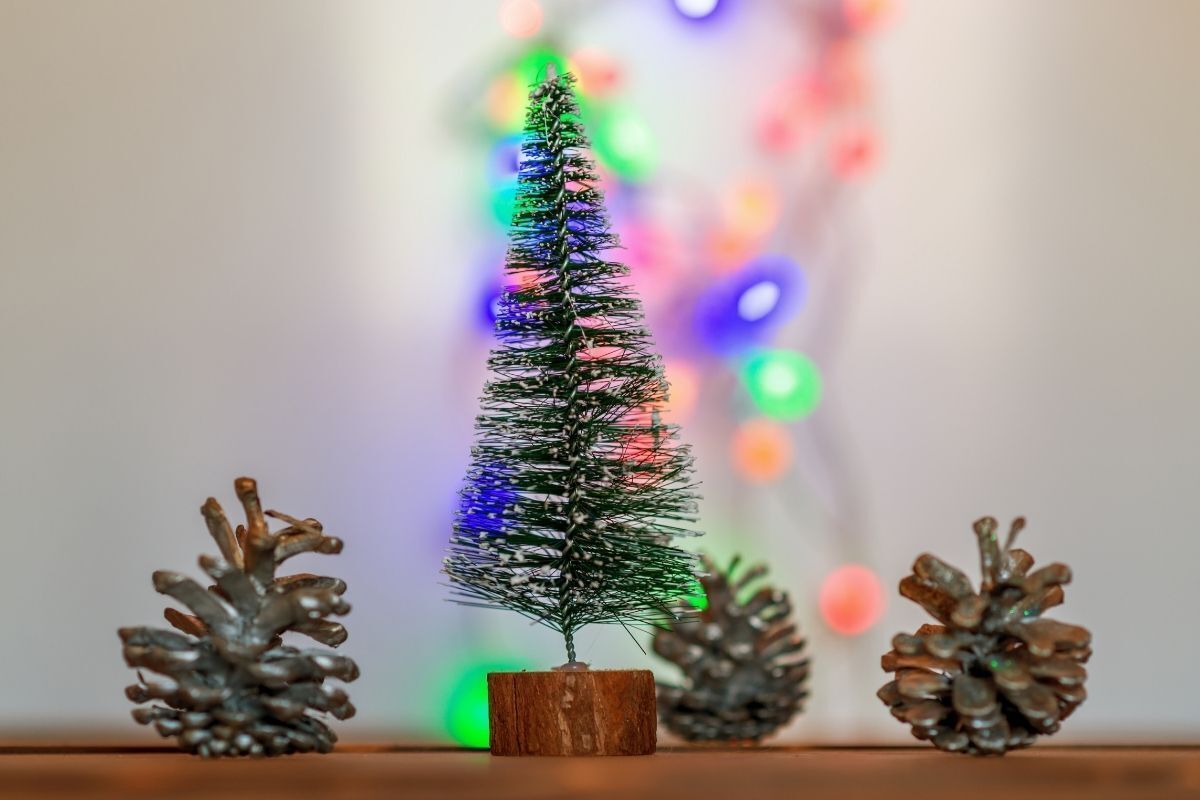 Sonhar com árvore de Natal: grande, pequena, enfeitada e mais!