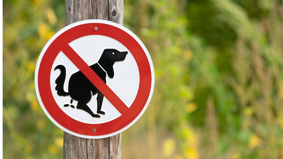 Placa proibindo fezes de animais.