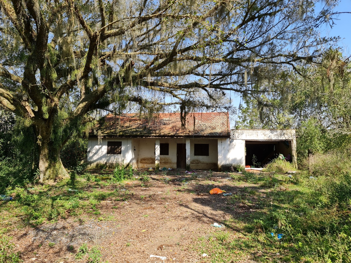 Casa abandonada em meio a vegetação