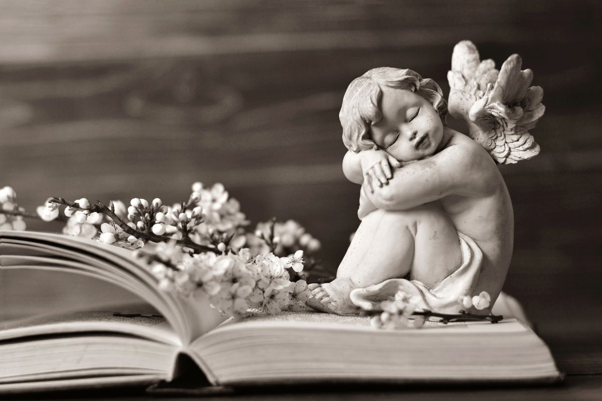 Anjo em cima de um livro