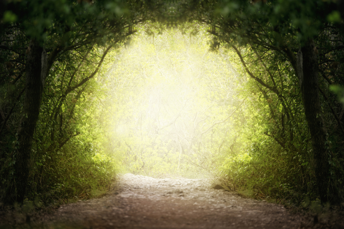 Estrada de fantasia verde para floresta mágica
