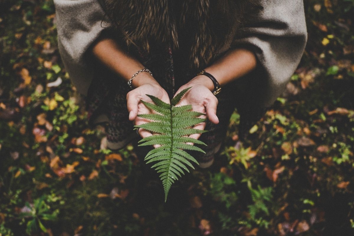 Mulher segurando uma folha de samambaia em suas mãos