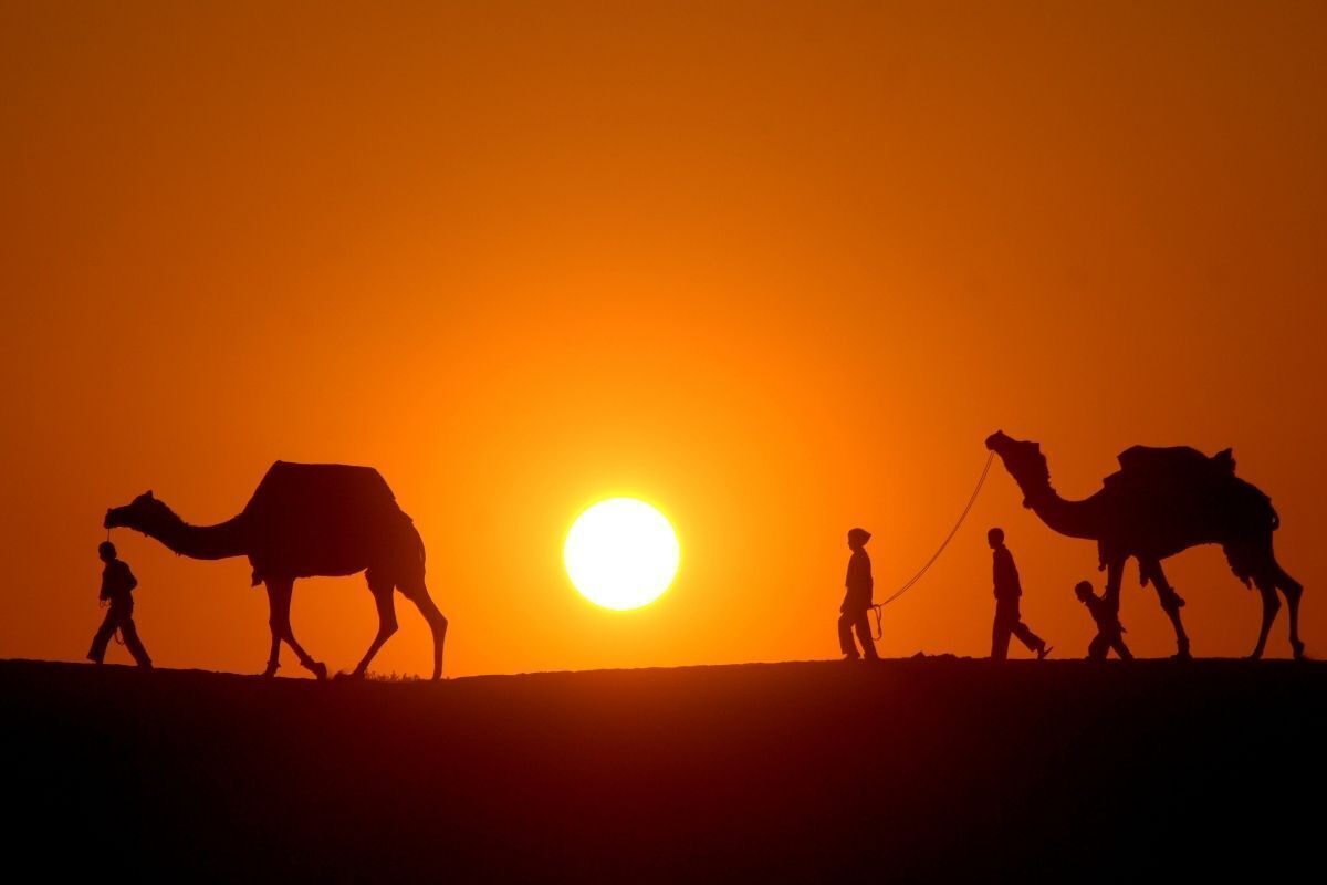 Homens guiando camelos no deserto ao entardecer