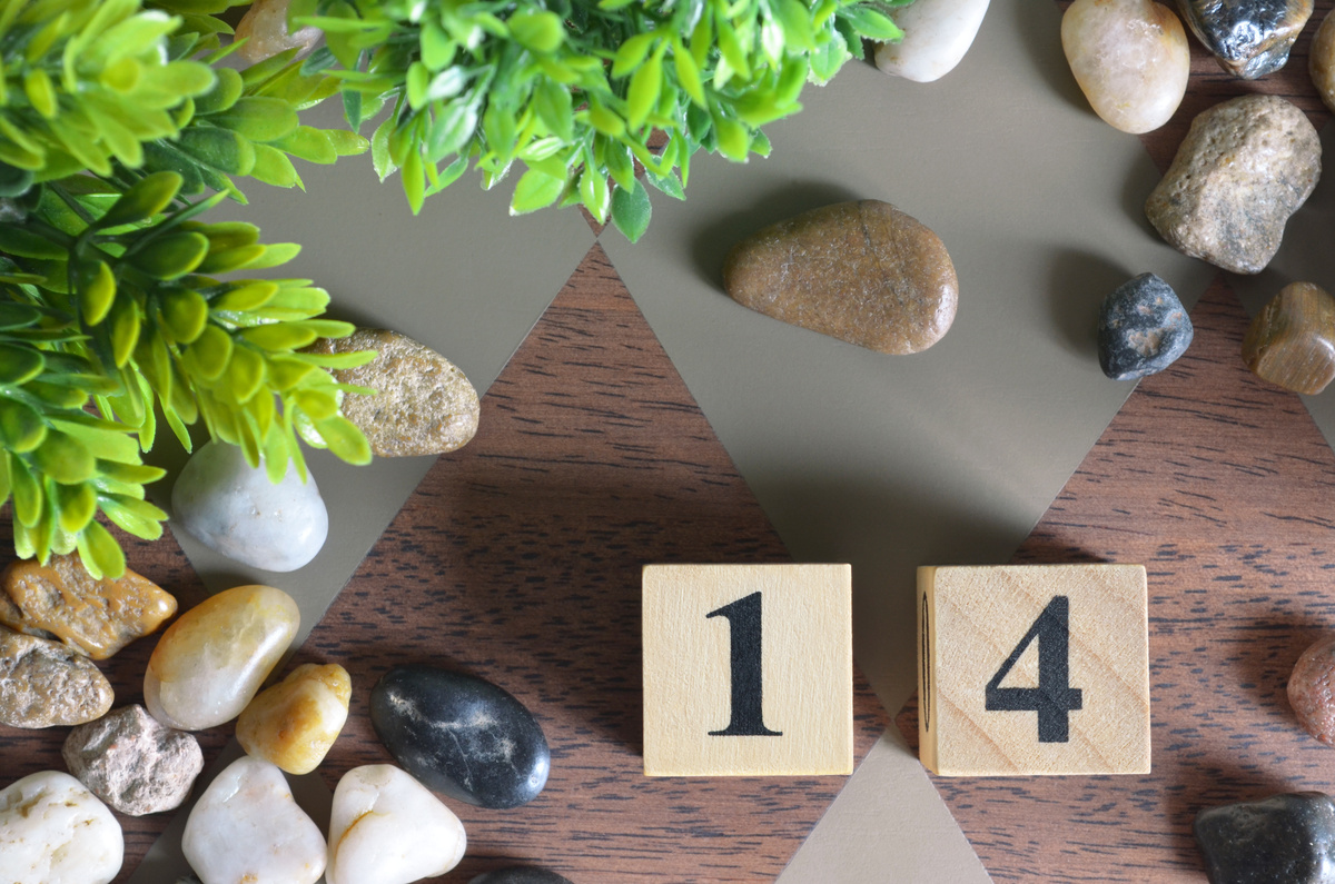 Número 14 em blocos de madeira em superfície decorada com pedras e plantas