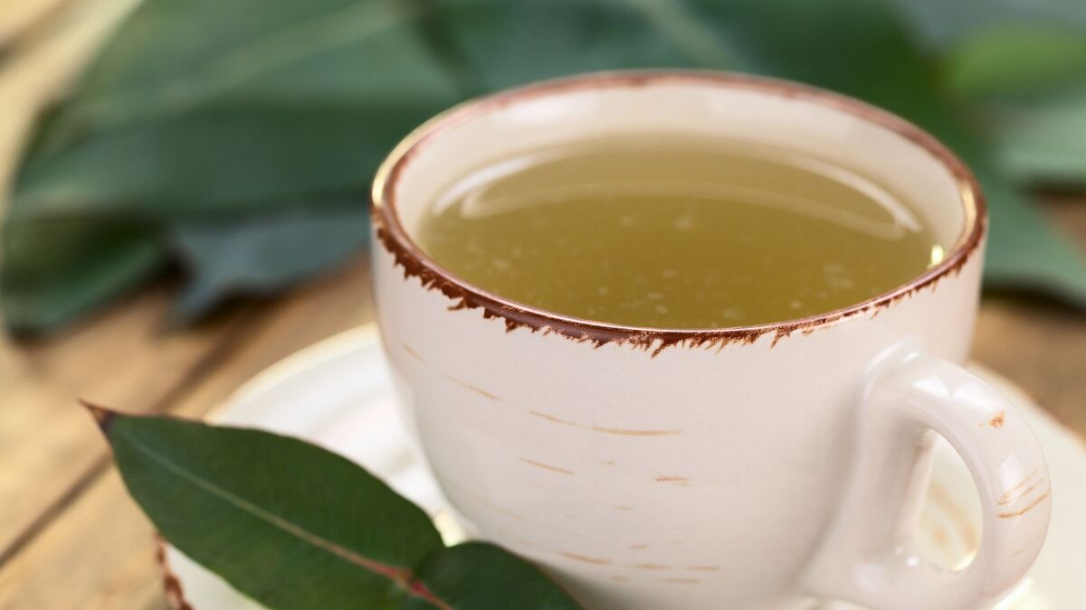 Chá com eucalipto.