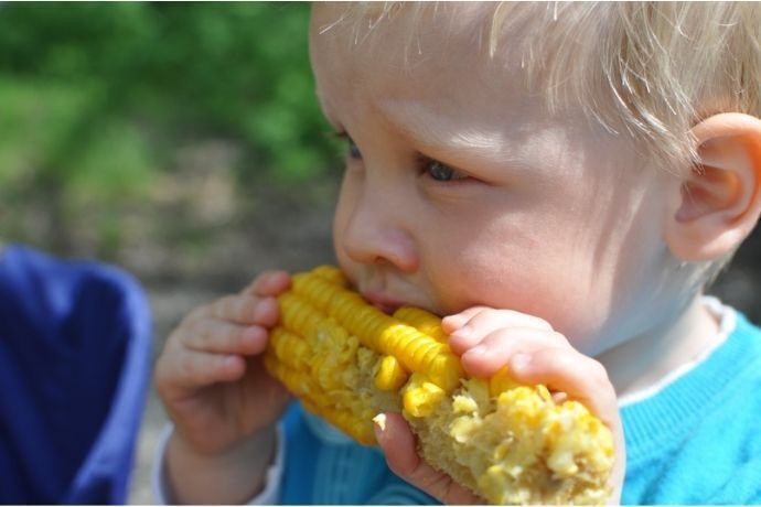 Criança comendo milho na espiga
