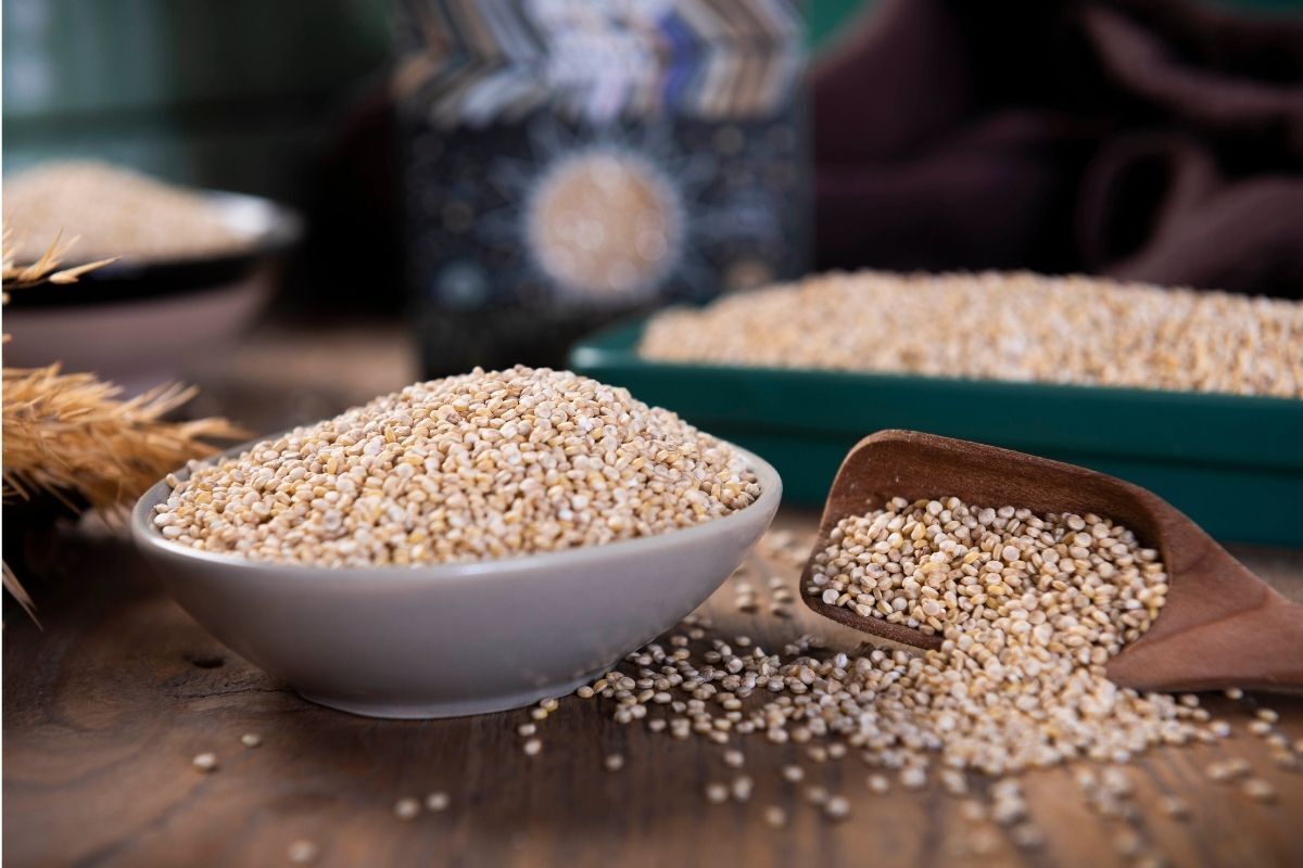 Grãos de quinoa em tigela.