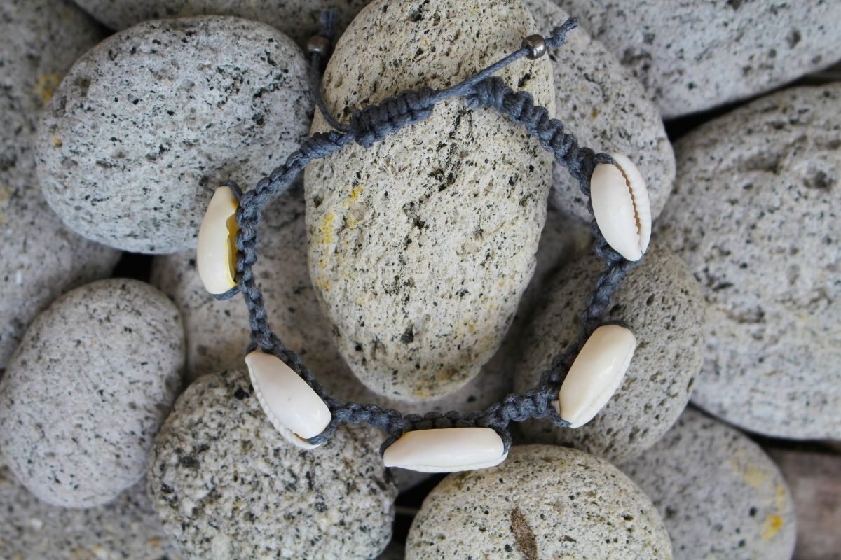 Conchas de búzios em pedras.