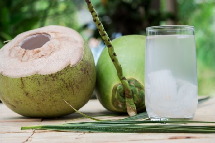 Coco e copo com água de coco
