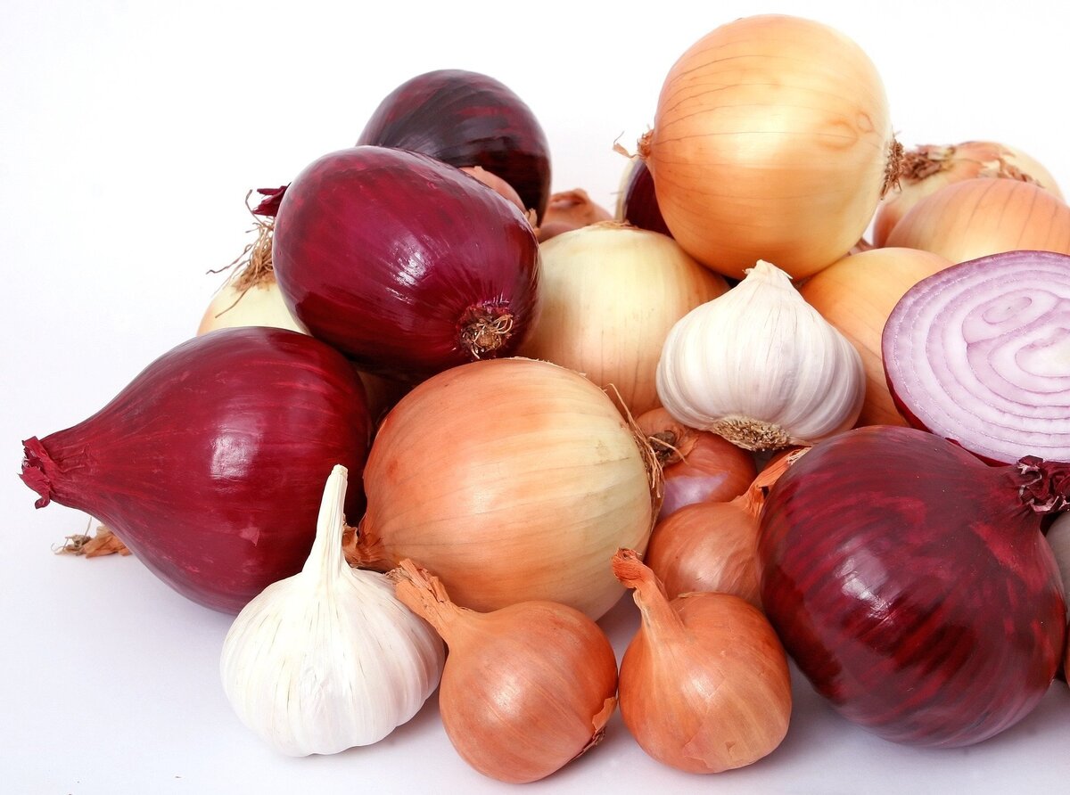 Diversos tipos de cebola - amarelas, roxas, pequenas e grandes - juntas em fundo branco.