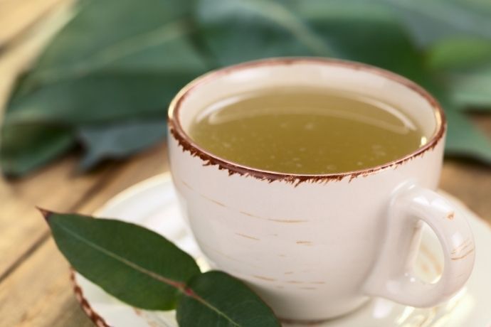 Xícara com chá de eucalipto