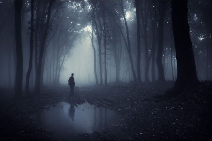 Pessoa caminhando em uma floresta com muita neblina