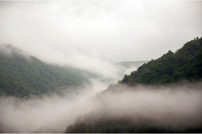 Neblinas numa montanha