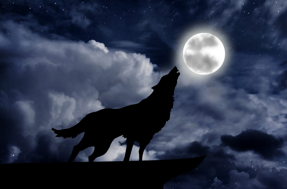 Sombra de lobo em meio à floresta e neblina, uivando para a lua cheia, em simbologia ao lobisomem.