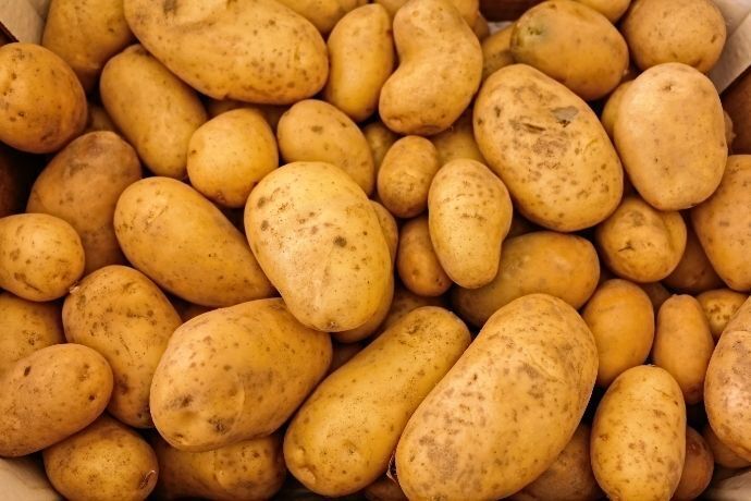 Várias batatas