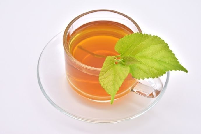 Xícara de chá com ramo de folha
