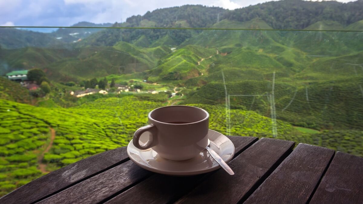Xícara de chá em uma paisagem.