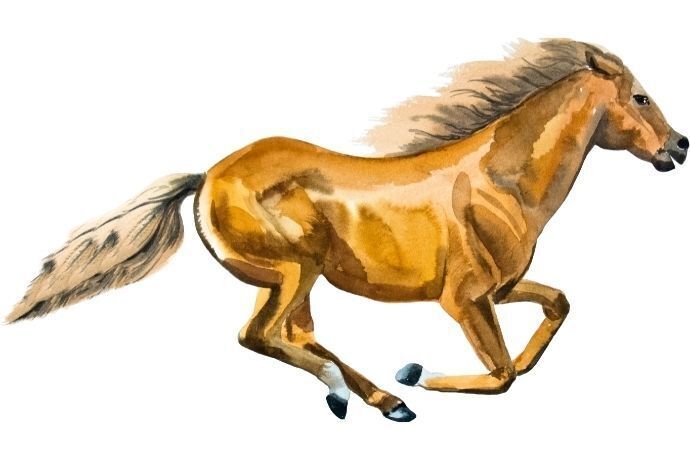 Ilustração de cavalo correndo