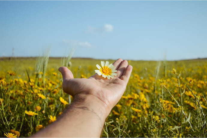 mão segurando flor