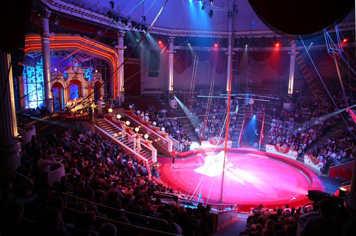 Interior de circo cheio de pessoas nas arquibancadas, com o picadeiro vazio e iluminado por um holofote. 