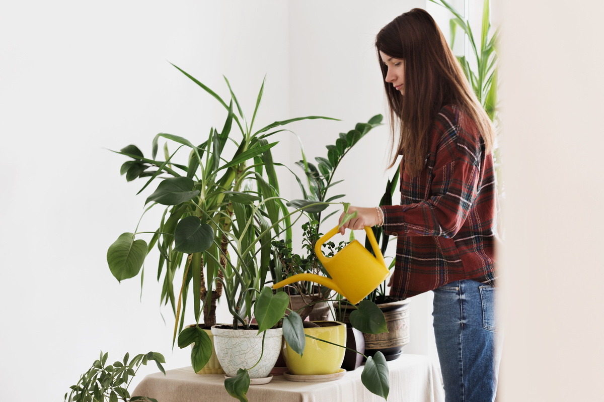 Mulher regando plantas de folhas longas dentro de casa.