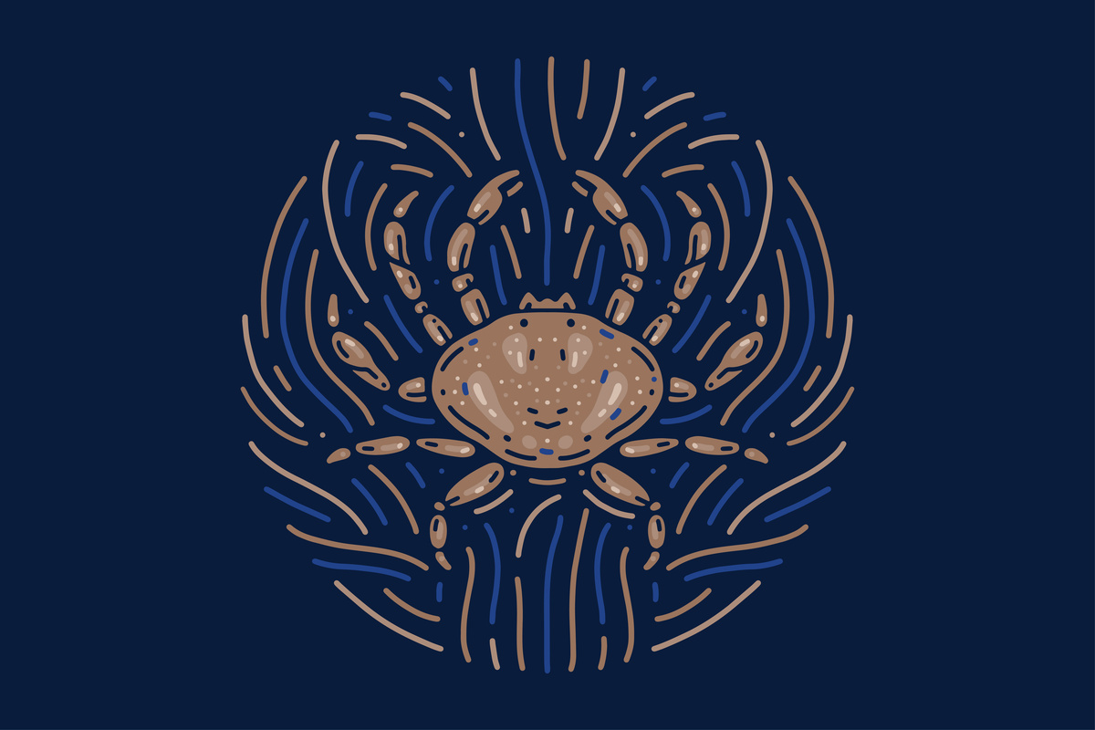 Ilustração com fundo azul-escuro de carangueijo, feito traço marrom, representando o signo de Câncer.