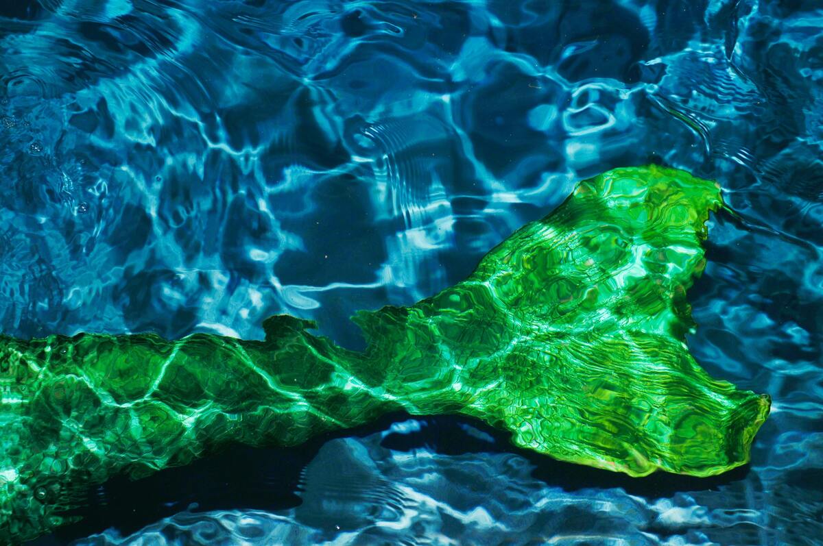 Cauda de sereia verde debaixo d'água.